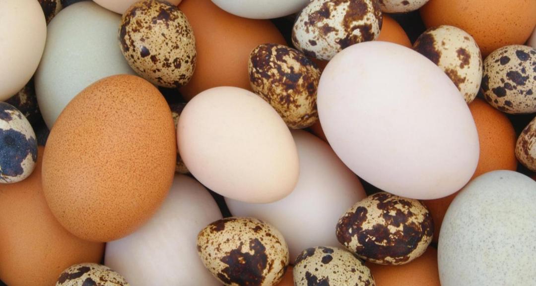 Agroturystyka,, Ranczo Kruszynki" Stronie Śląskie Εξωτερικό φωτογραφία
